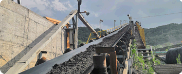 Company introduction