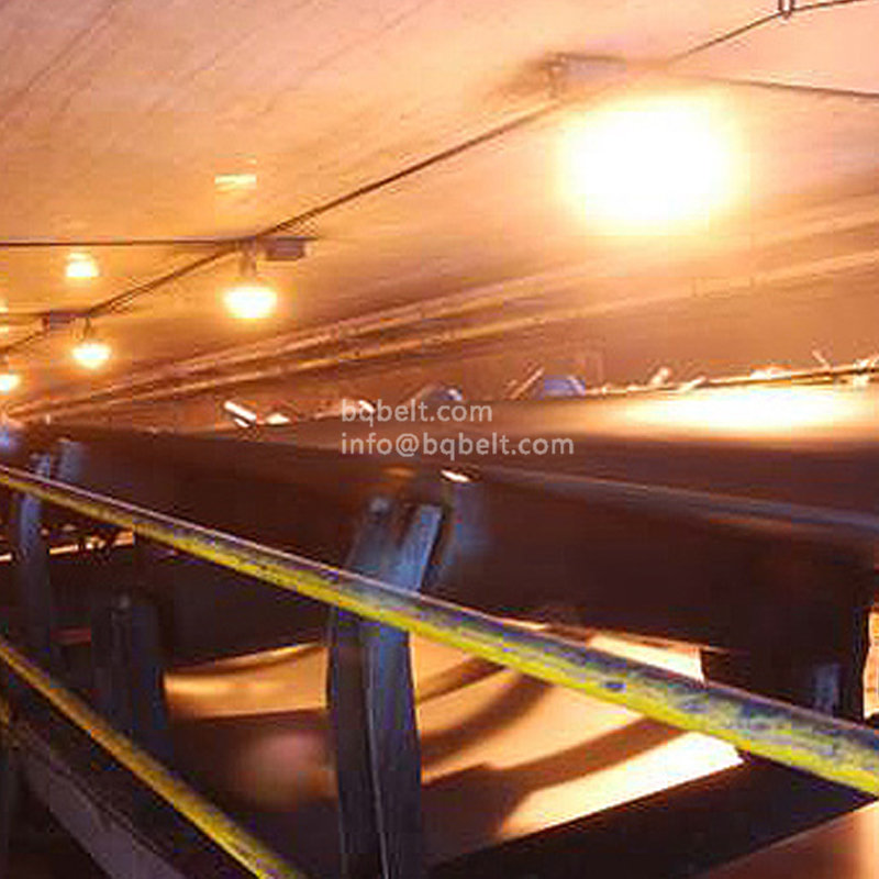 Flame retardant conveyor belt