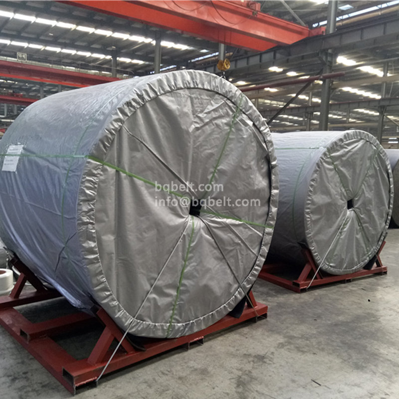 PVG overall core flame retardant conveyor belt